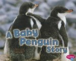 Baby Penguin Story