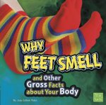 Why Feet Smell