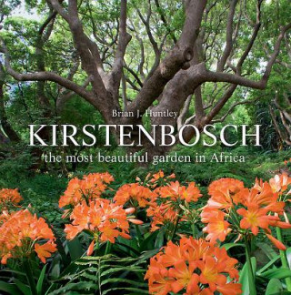 Kirstenbosch - the most beautiful garden in Africa