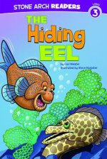Hiding Eel