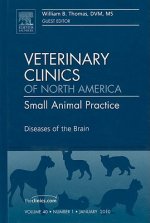 Diseases of the Brain, An Issue of Veterinary Clinics: Small Animal Practice