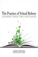 Practice of School Reform
