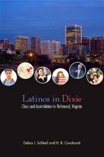 Latinos in Dixie