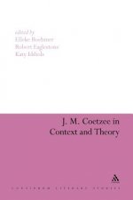 J. M. Coetzee in Context and Theory