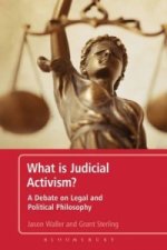 WHAT IS JUDICIAL ACTIVISM