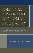 Political Power and Economic Inequality