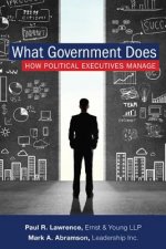 What Government Does