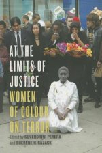 At the Limits of Justice