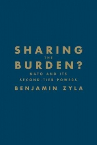 Sharing the Burden?