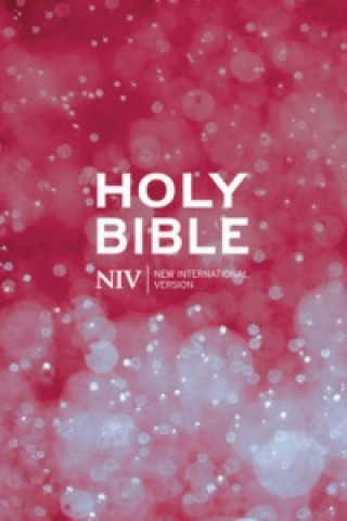 NIV Beacon Bible Paperback 10 Copy Pack