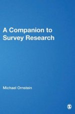 Companion to Survey Research