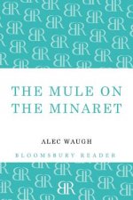 Mule on the Minaret