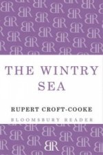 Wintry Sea