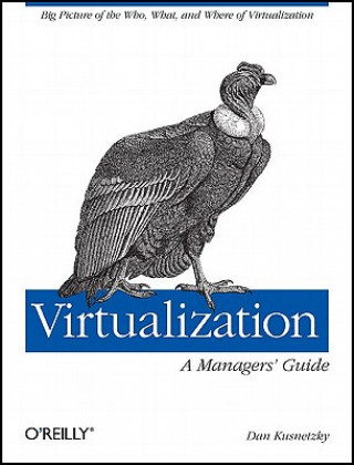Virtualization - A Managers Guide
