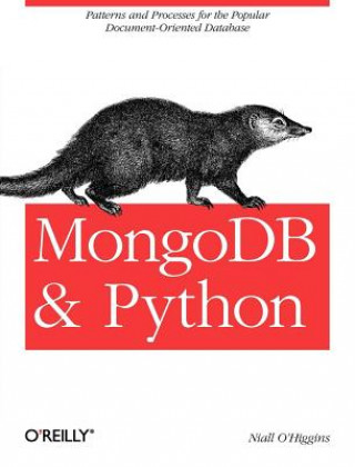 MongoDB and Python