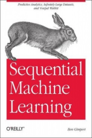 Sequential Machine Learning