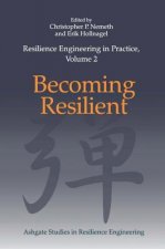 Resilience Engineering in Practice, Volume 2