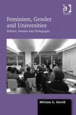 Feminism, Gender and Universities