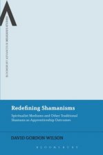 Redefining Shamanisms