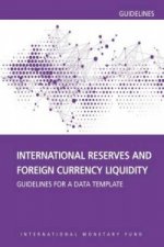 International reserves and foreign currency liquidity