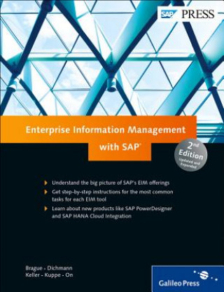 Enterprise Information Management with SAP