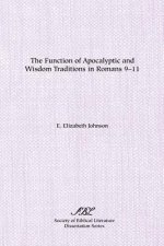 Function of Apocalyptic and Wisdom Traditions in Romans 9-11