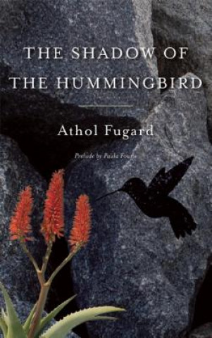 Shadow of the Hummingbird