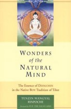 Wonders of the Natural Mind