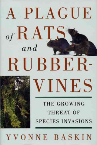 Plague of Rats and Rubbervines