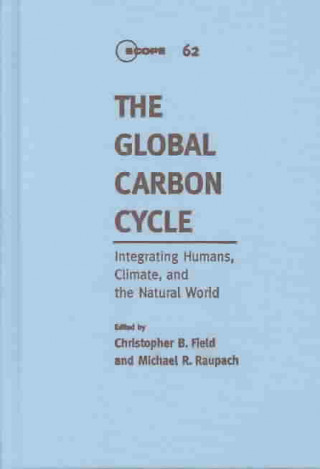 Global Carbon Cycle