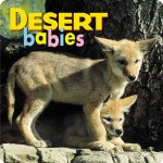 Desert Babies