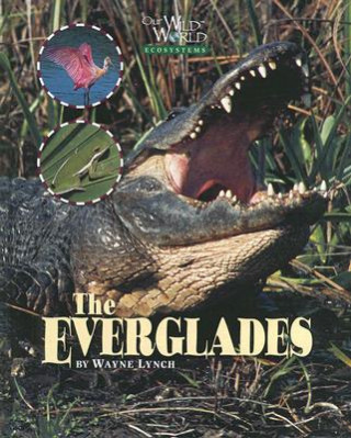 Everglades