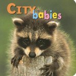 City Babies
