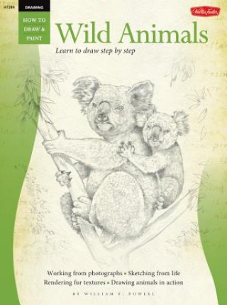 Wild Animals (How to Draw and Paint)