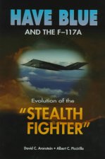 Have Blue and the F-117A