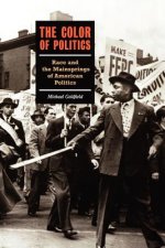 Color Of Politics