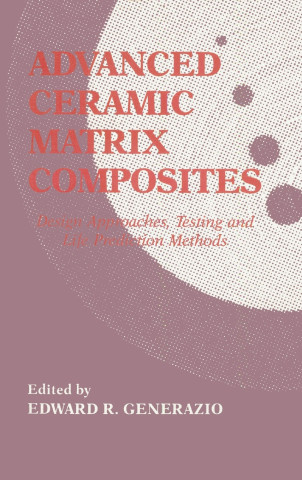 Advanced Ceramic Matrix Composites