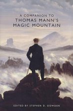 Companion to Thomas Mann's Magic Mountain