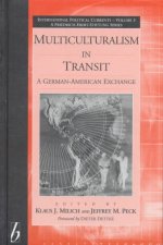Multiculturalism  in Transit