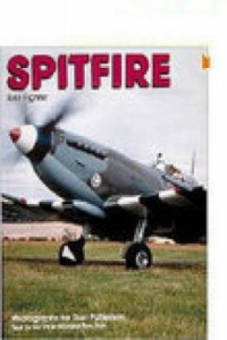 Spitfire: RAF Fighter