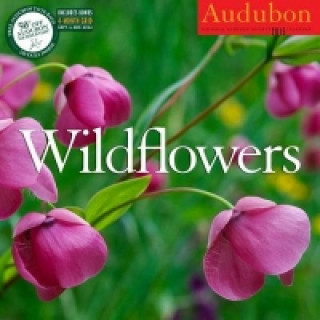 Audubon Wildflowers Calendar 2015