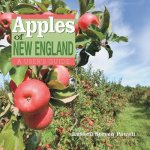 Apples of New England
