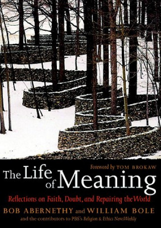 Life of Meaning