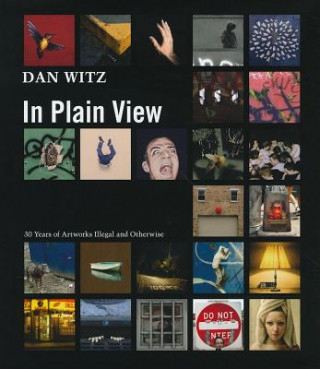 Dan Witz in Plain View