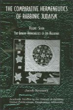 Comparative Hermeneutics of Rabbinic Judaism