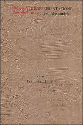 Immagini E Rappresentazione
