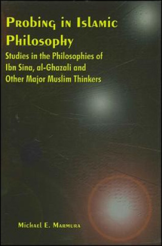 Probing in Islamic Philosophy