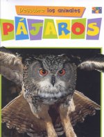 Pajaros