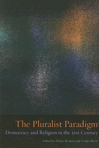 Pluralist Paradigm