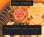 Pema Chodron Collection